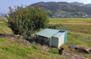 小屋・ブロック解体