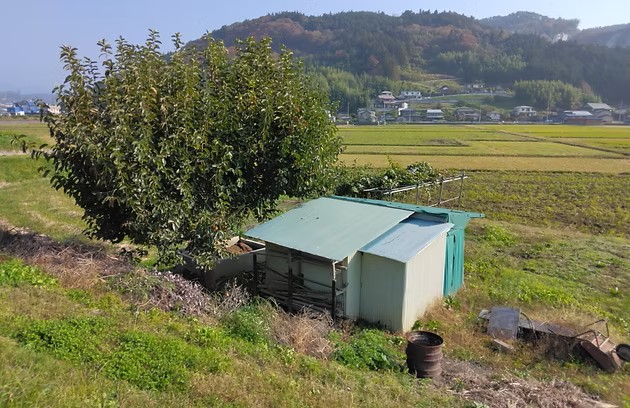 小屋・ブロック解体 施工前