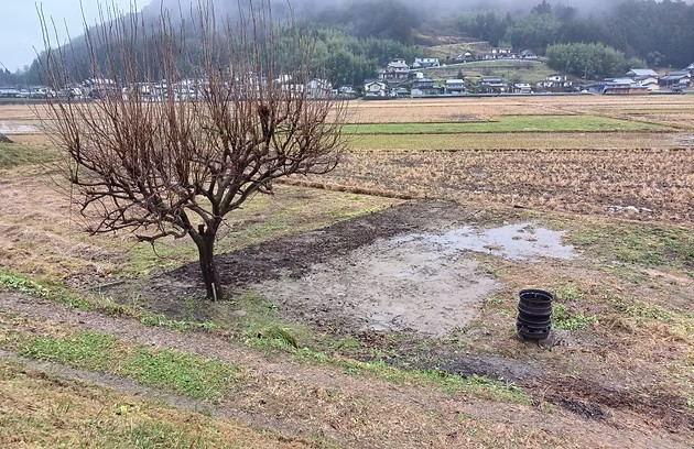 小屋・ブロック解体 施工後